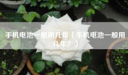 手机电池一般用几年（手机电池一般用几年？）