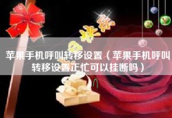 苹果手机呼叫转移设置（苹果手机呼叫转移设置正忙可以挂断吗）