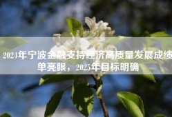 2024年宁波金融支持经济高质量发展成绩单亮眼，2025年目标明确