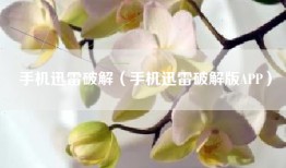 手机迅雷破解（手机迅雷破解版APP）