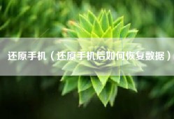 还原手机（还原手机后如何恢复数据）
