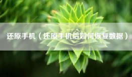 还原手机（还原手机后如何恢复数据）