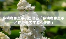 移动魔百盒手机遥控器（移动魔百盒手机遥控器丢了怎么找回）