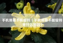 手机屏幕不能旋转（手机屏幕不能旋转是什么原因）