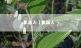 机器人（机器人 ）
