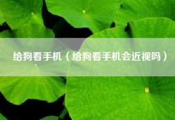 给狗看手机（给狗看手机会近视吗）