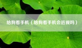 给狗看手机（给狗看手机会近视吗）