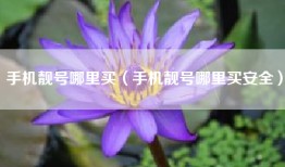 手机靓号哪里买（手机靓号哪里买安全）