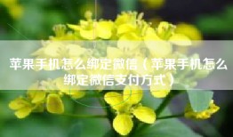 苹果手机怎么绑定微信（苹果手机怎么绑定微信支付方式）