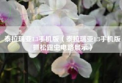 泰拉瑞亚1.3手机版（泰拉瑞亚1.3手机版抓松露虫电路展示）