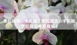 泰拉瑞亚1.3手机版（泰拉瑞亚1.3手机版抓松露虫电路展示）