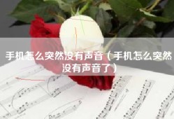 手机怎么突然没有声音（手机怎么突然没有声音了）