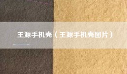 王源手机壳（王源手机壳图片）