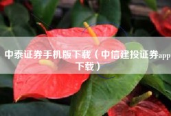 中泰证券手机版下载（中信建投证券app下载）