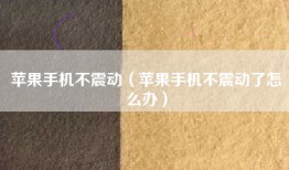 苹果手机不震动（苹果手机不震动了怎么办）