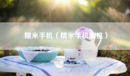 糯米手机（糯米手机刷机）