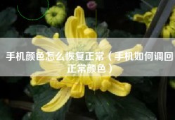 手机颜色怎么恢复正常（手机如何调回正常颜色）