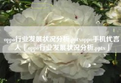 oppo行业发展状况分析.pptxoppo手机代言人「oppo行业发展状况分析.pptx」