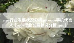 oppo行业发展状况分析.pptxoppo手机代言人「oppo行业发展状况分析.pptx」