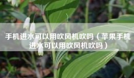 手机进水可以用吹风机吹吗（苹果手机进水可以用吹风机吹吗）