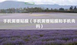 手机需要贴膜（手机需要贴膜和手机壳吗）