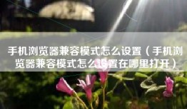 手机浏览器兼容模式怎么设置（手机浏览器兼容模式怎么设置在哪里打开）