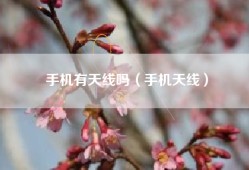 手机有天线吗（手机天线）