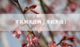 手机有天线吗（手机天线）