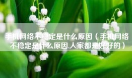 手机网络不稳定是什么原因（手机网络不稳定是什么原因,人家都是好好的）