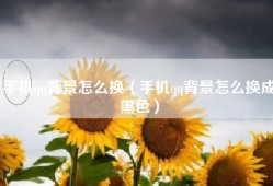 手机qq背景怎么换（手机qq背景怎么换成黑色）