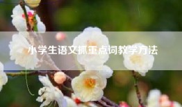 小学生语文抓重点词教学方法