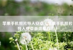 苹果手机照片导入安卓（苹果手机照片导入安卓最简单方法）
