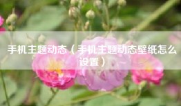 手机主题动态（手机主题动态壁纸怎么设置）