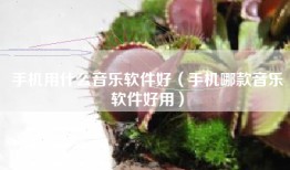 手机用什么音乐软件好（手机哪款音乐软件好用）