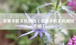 苹果手机关机闹铃（苹果手机关机闹铃不响）