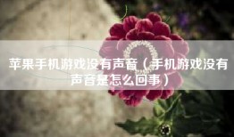 苹果手机游戏没有声音（手机游戏没有声音是怎么回事）