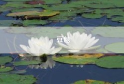 豆包