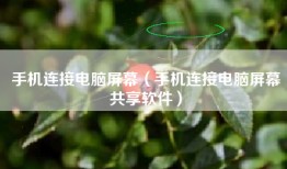 手机连接电脑屏幕（手机连接电脑屏幕共享软件）