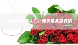 雷锋精神暖人心，便民服务显真情