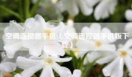 空调遥控器手机（空调遥控器手机版下载）