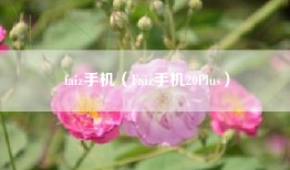 faiz手机（Faiz手机20Plus）
