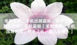 求救求救，手机出现蓝屏，开不了机，怎么处理？手机蓝屏「求救求救，手机出现蓝屏，开不了机，怎么处理？」