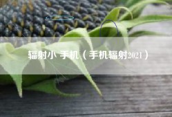 辐射小 手机（手机辐射2021）