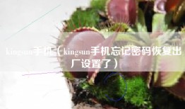 kingsun手机（kingsun手机忘记密码恢复出厂设置了）