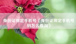 身份证绑定手机号（身份证绑定手机号码怎么查询）