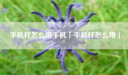 手机杆怎么用手机「手机杆怎么用」
