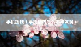 手机攒钱（手机攒钱怎么不被发现）