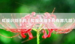 虹膜识别手机（虹膜识别手机有哪几部）