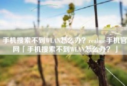 手机搜索不到WLAN怎么办？realme手机官网「手机搜索不到WLAN怎么办？」