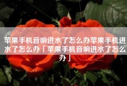 苹果手机音响进水了怎么办苹果手机进水了怎么办「苹果手机音响进水了怎么办」